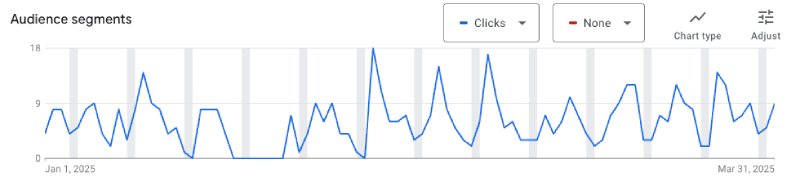 Data Showing Google Ads Audience Segments For Milstein Siegel